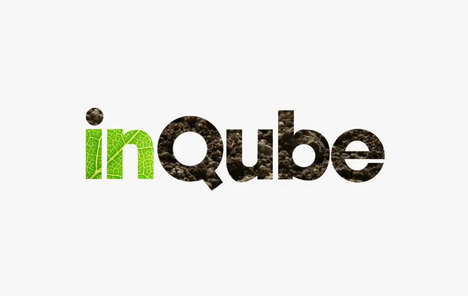 Inqube