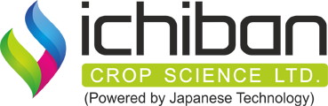ICHIBAN CROP SCIENCE