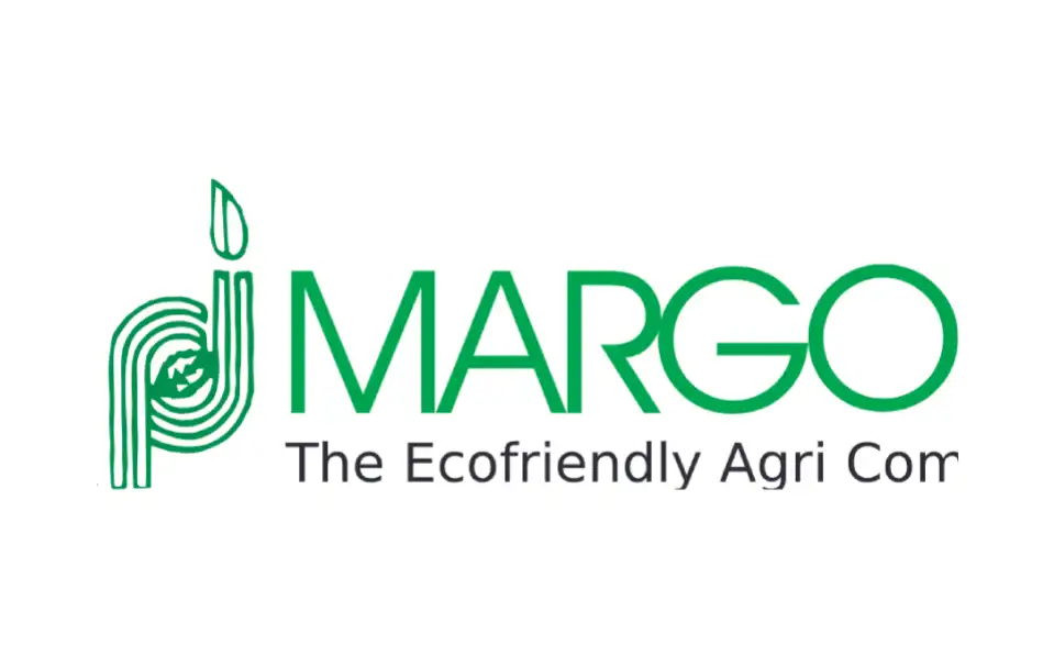 P J Margo